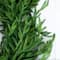 8ft. Artificial Real Touch Norfolk Island Pine Garland with Natural Look